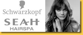 ��������� SEAH HAIRSPA �� Schwarzkopf Professional
