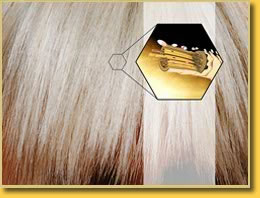 ���������� Prizm Shine � ��������� BlondMe �� Schwarzkopf Professional