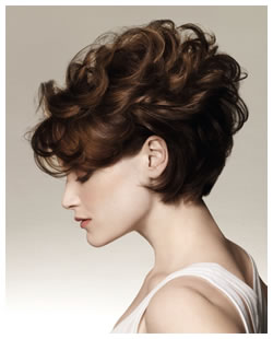 ���������� ������������� Intra-Cylane �� L'Oreal Professionnel